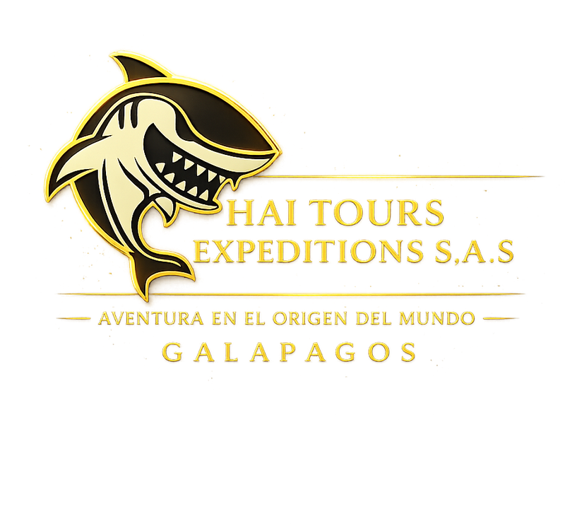 Haitours Expeditions